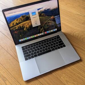 MacBook Pro 15インチ シルバー 2018 Core i9(2.9GHz)/RAM 16GB/ SSD 1TB