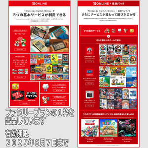 Nintendo Switch Online + 追加パック 12か月 （365日） ニンテンドースイッチオンライン ファミリープラン招待枠Ａ