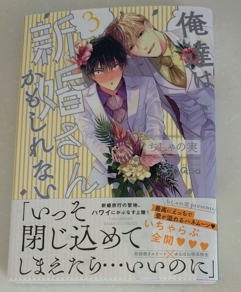俺達は新婚さんかもしれない 3/ちしゃの実
