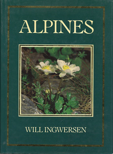 #ALPINES Alpine plants [ inspection : primula p.s ticket s Alba *tekofi rare * Leon topotiumni crack ]