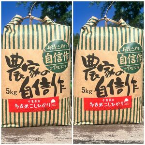 千葉県　多古町産　コシヒカリ　無洗米 10kg たこまい
