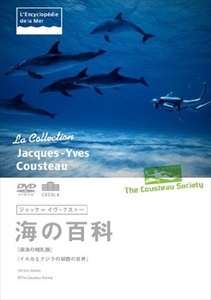 ジャック＝イヴ・クストー海の百科 深海の哺乳類 DVD※同梱8枚迄OK！ 7o-6392