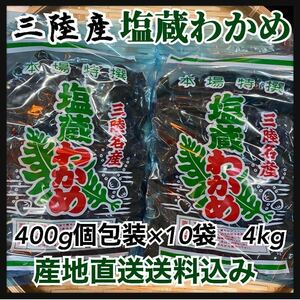 [ direct delivery from producing area * profit ] salt warehouse . tortoise 400g×10 sack high capacity 4kg Iwate prefecture production the first thing domestic production three land production production ground direct 