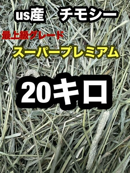 チモシー　20キロ　ウサギ モルモット　デグー チンチラ １番刈