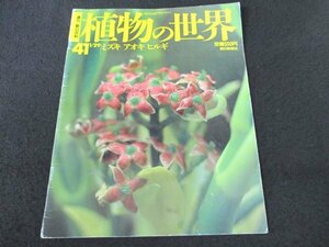 本 No1 03095 週刊 朝日百科 植物の世界 41 1995年1月29日号 ミズキ アオキ ヒルギ サンシュユ ハナミズキ ヤマボウシ ゴゼンタチバナ