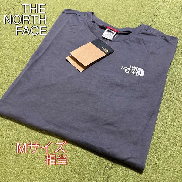 新品未使用 日本未発売 THE NORTH FACE ザ ノース フェイス Tシャツ 海外限定 Sサイズ