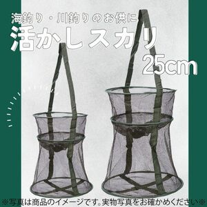 603　活かしスカリ　網　イケス　25cm　泳がせ釣り　ビク　折り畳み　軽量　　　