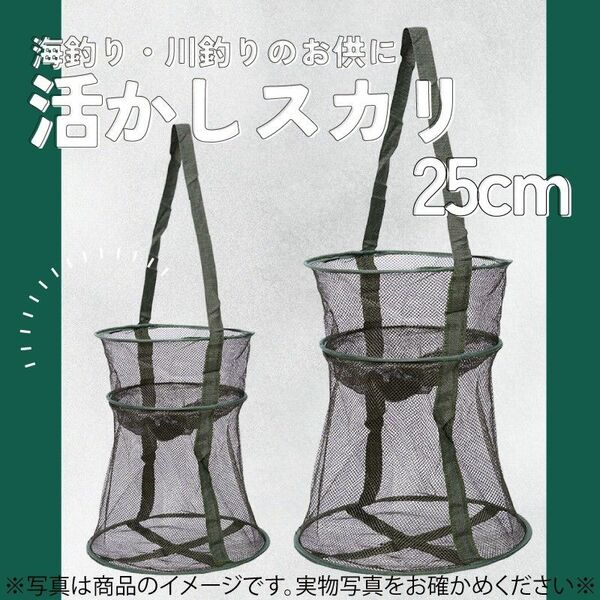 603　活かしスカリ　網　イケス　25cm　泳がせ釣り　ビク　折り畳み　軽量　　　