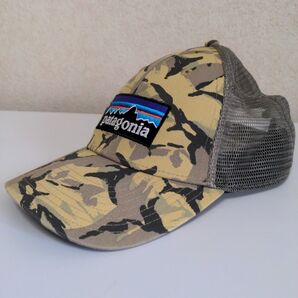 Patagonia P-6 Logo LoPro Trucker Hat