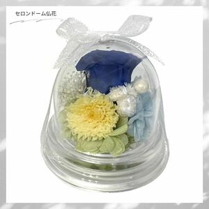  preserved flower . flower Mini dome family Buddhist altar Father's day ..... not flower blue / yellow ribbon B