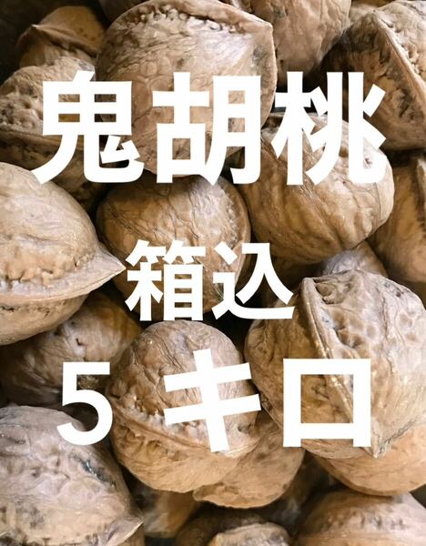 【送料無料】★令和５年 新潟産 新物・鬼胡桃★無農薬 天然 殻付き鬼くるみ 箱込5キロ