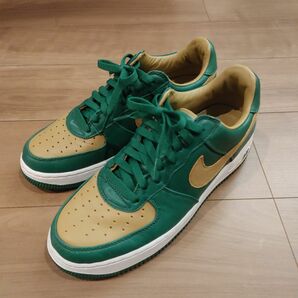 NIKE AIR FORCE 1 LTD LEBRON JAMES■美品 