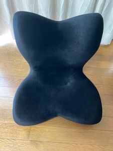 MTG Style PREMIUM DX ブラック　スタイルプレミアム 黒　骨盤サポートチェア　座椅子