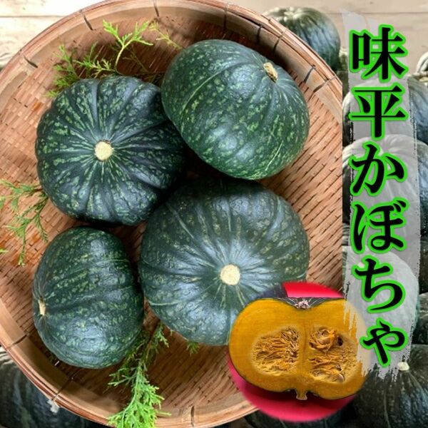 鹿児島県産　味平かぼちゃ　　5〜6Kg ①