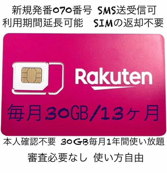 早い者勝ち 楽天プリペイドsimカード　月30GB高速データ通信専用 SMS受信可 SIM SMS認証