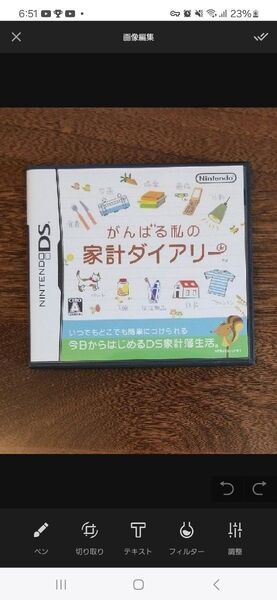 がんばる私の家計ダイアリー