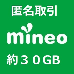 匿名 mineo 約30GB（9999MB×3） パケットギフト コード通知