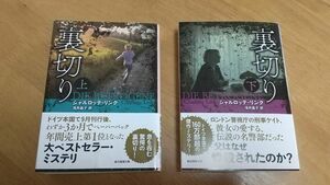 裏切り シャルロッテ・リンク 浅井晶子訳上巻下巻２冊セット 創元推理文庫 ほぼ新品 美品