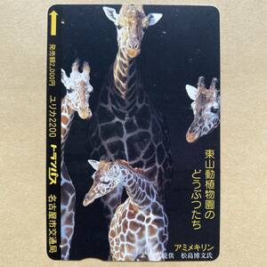 【使用済】 ユリカ 名古屋市交通局 東山動植物園のどうぶつたち アミメキリン