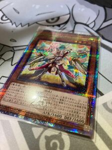 遊戯王　重騎士プリメラ　25th