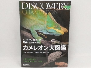  chameleon large illustrated reference book Uehara ..