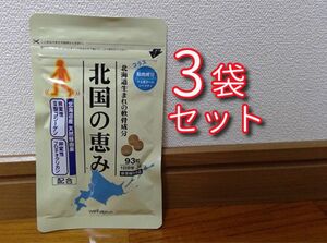 北国の恵み 93粒×3袋（約3ヶ月分） プロテオグリカン 2型コラーゲン ヒアルロン酸 サプリメント グルコサミン コンドロイチン