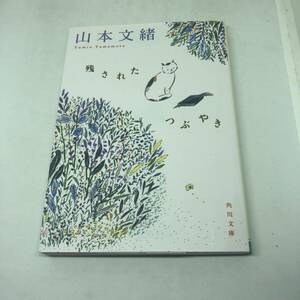  осталось осуществлен ....( Kadokawa Bunko ) библиотека 2022/9/21 Yamamoto Fumio ( работа )