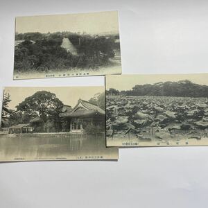 1918年　大正7年4月　福岡県柳川市　絵はがき3枚　柳川三桂神社/柳川三桂神社全景/柳川城跡　裏面　日付記入あり