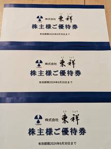 東祥　株主優待券　有効期限：2024年6月30日　3枚　定型郵便送料無料