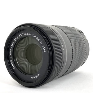 【動作保証】Canon EF-S 55-250mm 4-5.6 IS STM レンズ 中古 良好 Y8799834