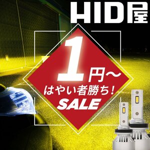 【1円～限定セール！】【数量限定！】 HID屋 LED 爆光 フォグランプ イエロー 10400lm H8/H11/H16 車検対応 安心保証