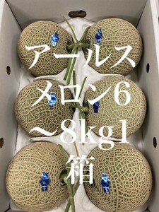 【熊本県産】アールスメロン 大箱 約6-8kg一箱 クール便でお届け