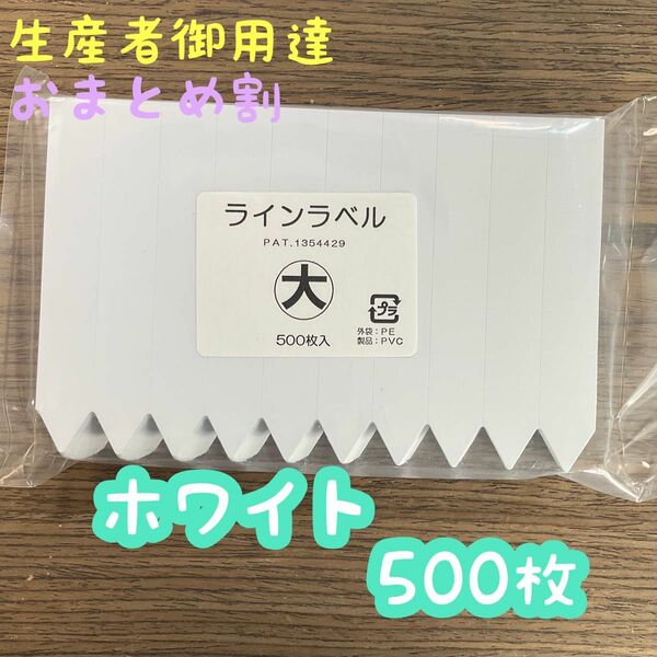 ラインラベル (大) ホワイト ◎500枚 ◎園芸ラベル カラーラベル