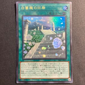 A045】白薔薇の回廊 UR 遊戯王 デュエルモンスターズ TCG トレカ カード