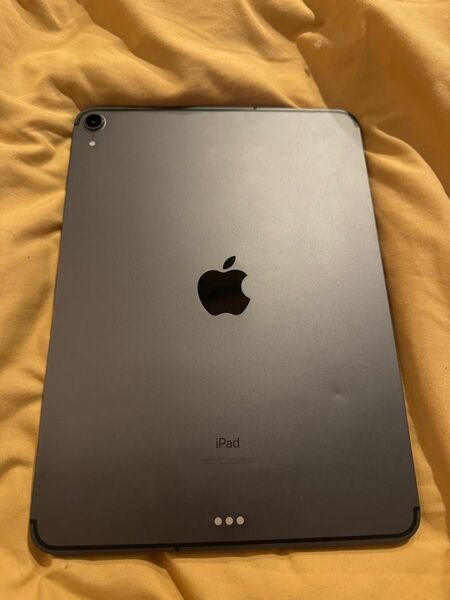 iPad Pro 11 Cellular Wi-Fi スペースグレイ　SIMフリー　第一世代　Apple