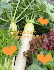 野菜&びわSET９０サイズ