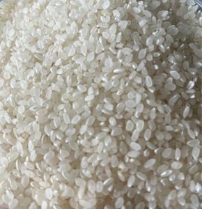 滋賀　近江　コシヒカリ　農薬不使用　白米　1.5kg 令和4年　古米　お試し　米　ポイント消化　クーポン消化