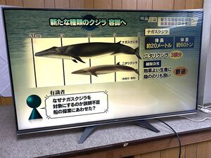 【F061】手渡し可 LGエレクトロニクス 液晶テレビ 60型 大型テレビ リモコン付き 多治見市 b