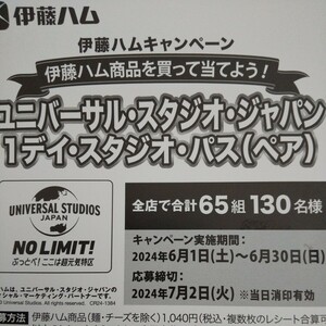 伊藤ハムレシート懸賞応募 ユニバーサルスタジオジャパン1デイスタジオパスペア USJ