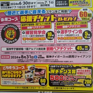 日清食品レシート懸賞応募 阪神×巨人 阪神甲子園球場1塁アルプス観戦ペアチケット 選べるごちそうカタログギフト6000円相当