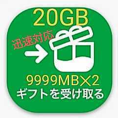 マイネオ mineo パケットギフト 9999MB×2 約20GB
