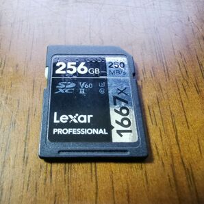 Lexar SDカード 256GB