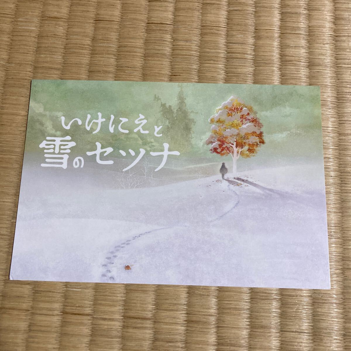 2025年最新】Yahoo!オークション -いけにえと雪のセツナの中古品