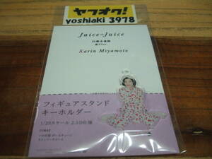 宮本佳林 25歳永遠説 FSK フィギュアスタンドキーホルダー Juice=Juice