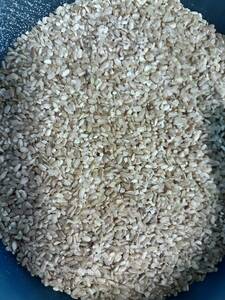 砕米　小米　雑米　鳥の餌　エサ　動物のエサ　無農薬　約6.6キロ　