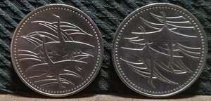  記念硬貨 皇太子殿下御成婚記念 500円 白銅貨 1枚 平成5年発行 1993年 五百円 瑞鳥の鶴 