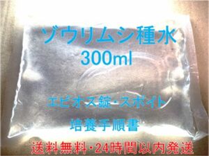 ゾウリムシ300ml 培養用エビオス錠・餌やりスポイト・培養手順書つき