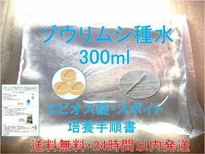 ゾウリムシ300ml 培養用エビオス錠・餌やりスポイト・培養手順書つき