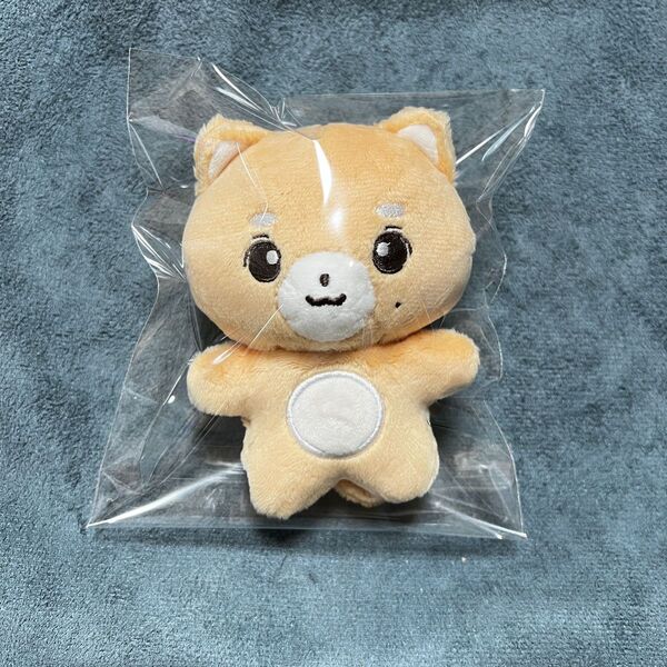 テイル ぬいぐるみ 10cm 新品 マスター nct