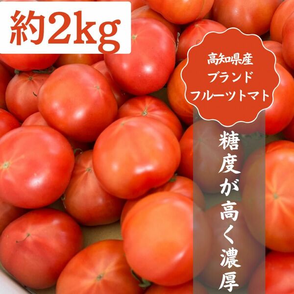 54高知県産 土佐 夜須フルーツトマト 約2kg 高知特産